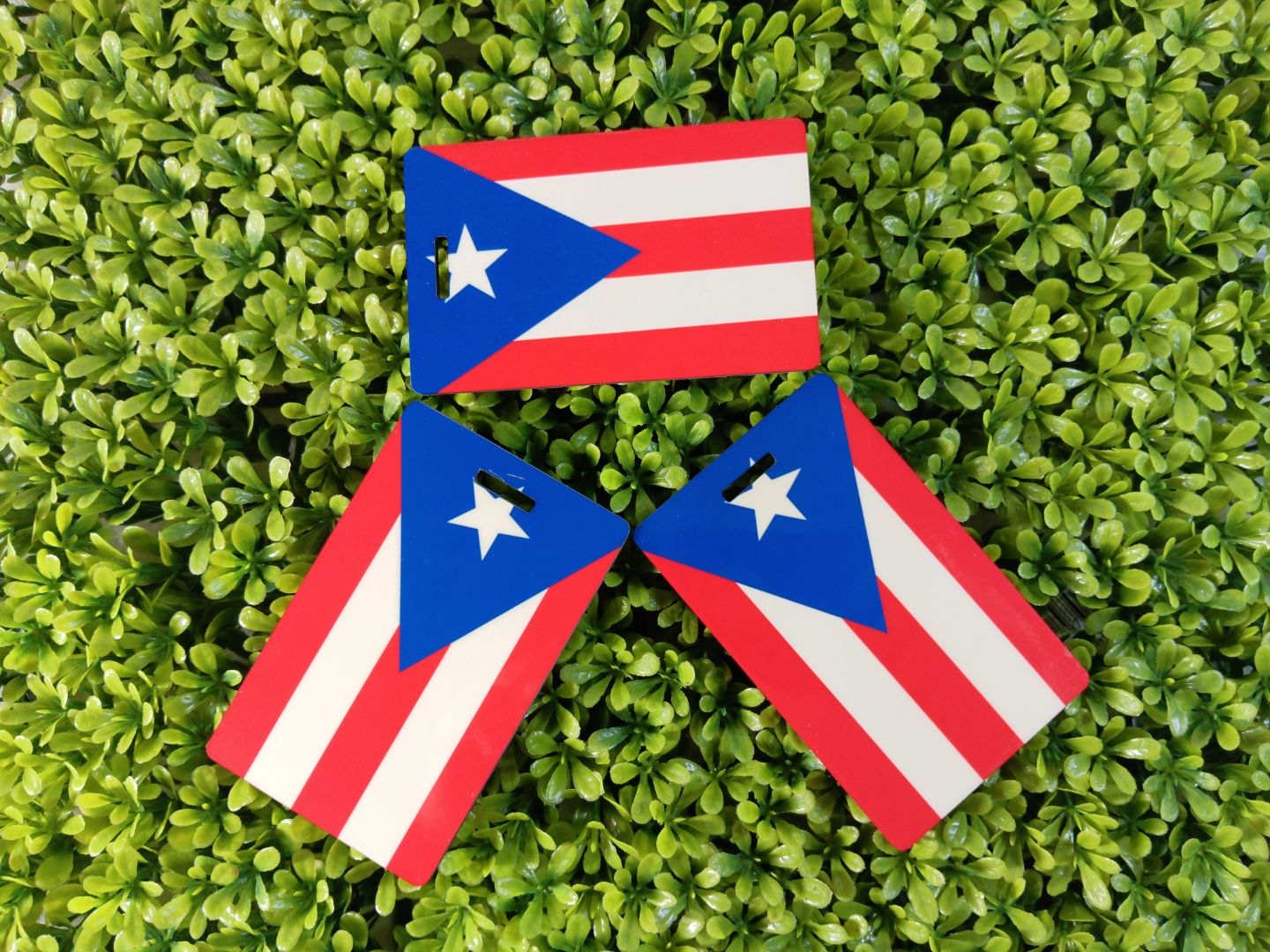 Puerto Rico Luggage Tags