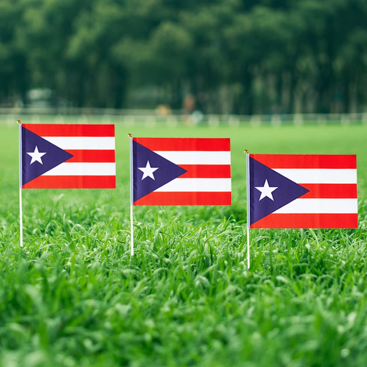 Puerto Rico Small Stick Mini Hand Held Flags Decorations